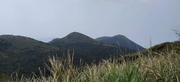 臺北大縱走第二段（2）1309715