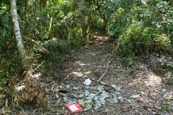 宜蘭 南澳 澳花山2881277