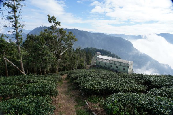 南投 鹿谷 龍鳳山、龍鳳峽山、三叉崙山、水桶寮山、內樹皮山、羊頭崙山、志騰山、竹崙山、溪頭山2962315