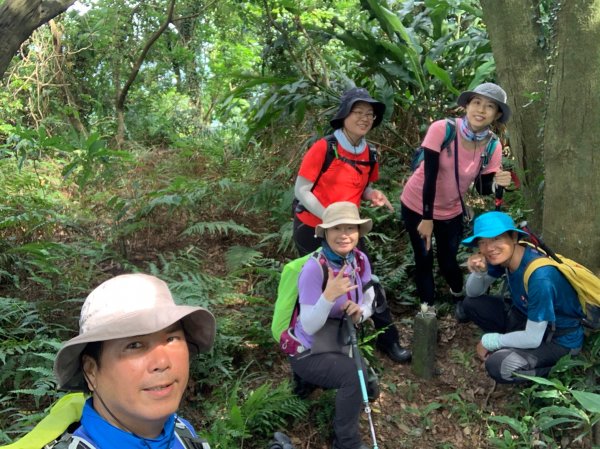 大溪金面山(3登山上2登山下)O形1006492