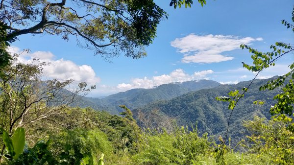 嘉義太興岩步道1751296