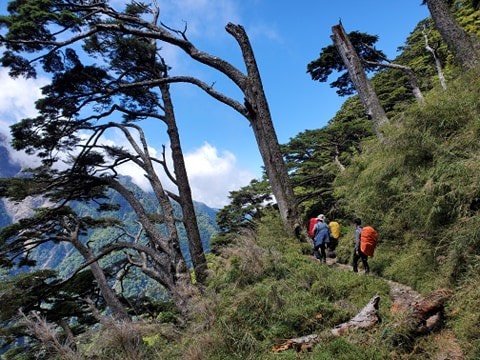 玉山主峰1310619