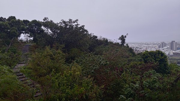 台東鯉魚山3017919