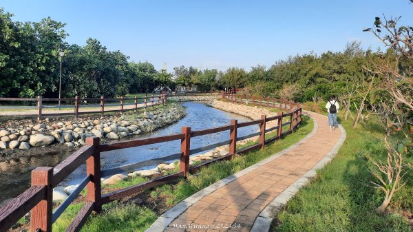 《台中》海濱夕陽｜龜殼生態公園連走大安紅樹林生態步道202410202632409