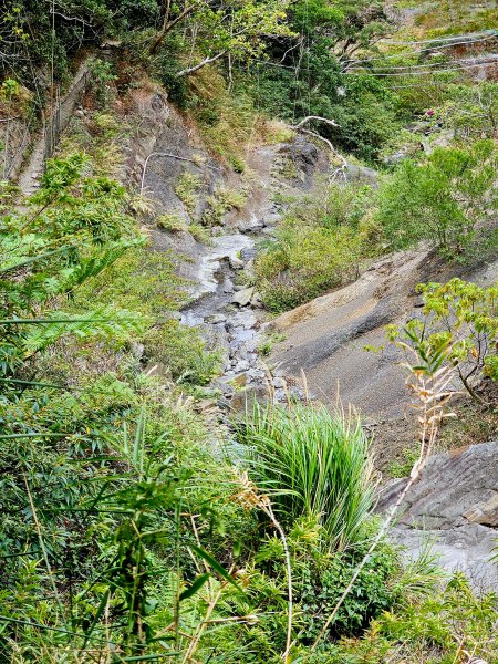 小百岳集起來-里龍山2184766