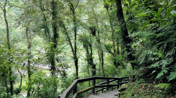 福山部落,內洞森遊區2552469