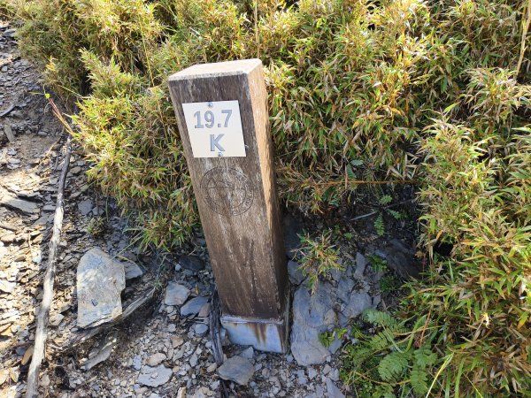 北一段(11/14)南湖北峰 2025_0906~132887340