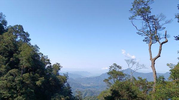 水社大山/水社主峰（青年活動中心起登）1613885