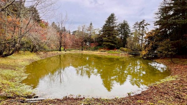 🌈12/20(六)福壽山農場~追風趣✨FB：熊熊趴爬走🌈2967281