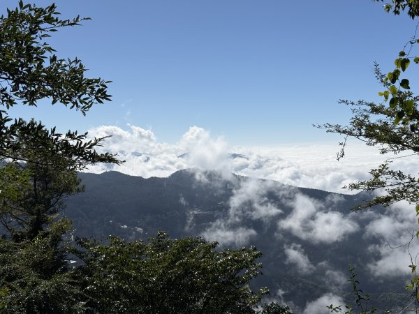 1141215大塔山步道2996148