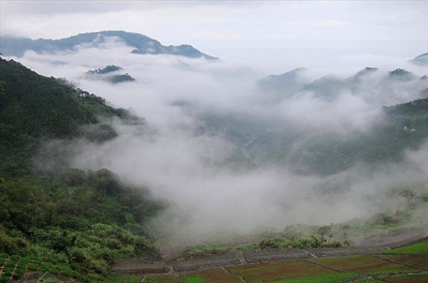 【嘉義】里佳到山美-里美步道