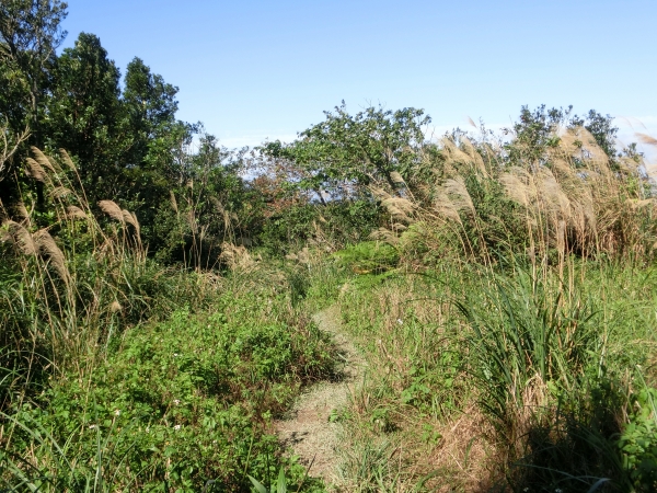 獅仔頭山隘勇線91999