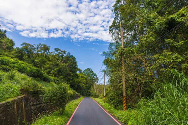 [南投]貓囒山與日月潭2904395