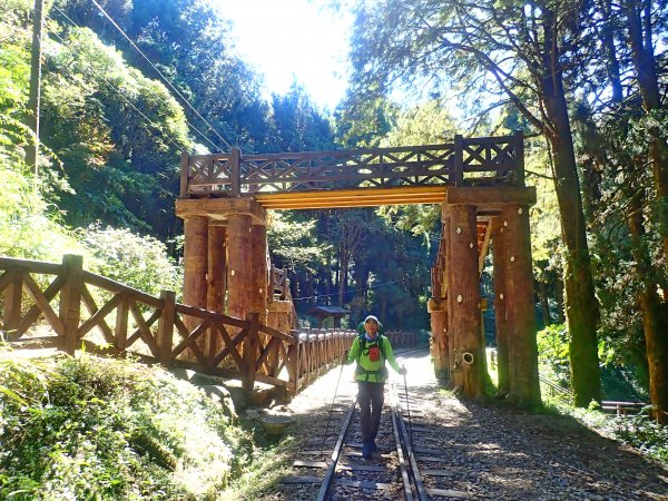 再訪眠月線 2019/11/23-24753035