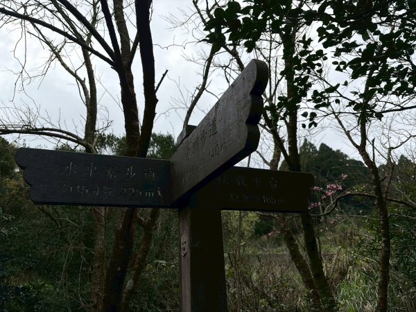 台北 北投 水車寮步道3004640