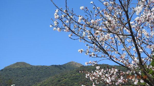 雲山水花鳥蝶 - 天龍國阿伯的日常 3/52053140