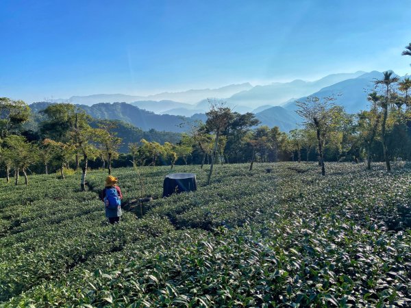 阿拔泉山 獨立山 O繞慢遊1546116