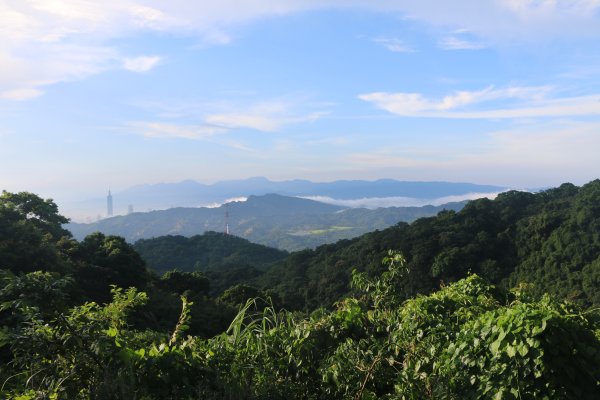 雨後猴山坑山嵐飄渺2579435