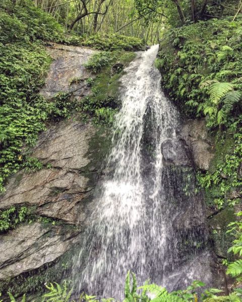 孝子山、慈母嶺、普陀山155612