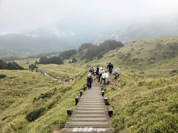 【南投仁愛】合歡東峰步道x合歡石門山步道(賞杜鵑)3052449