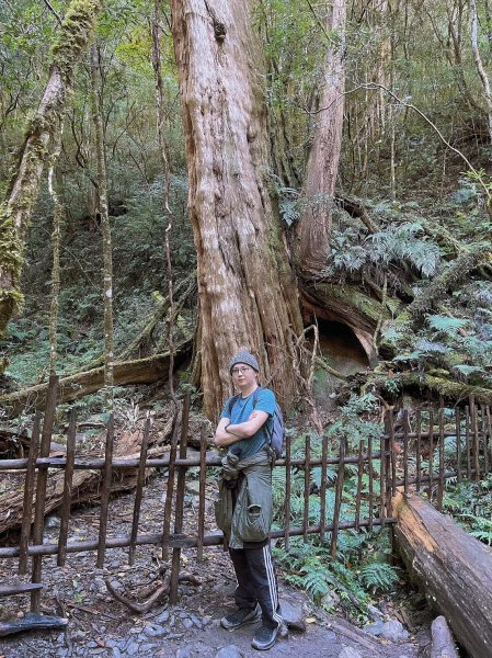 中級山-司馬庫斯2888943