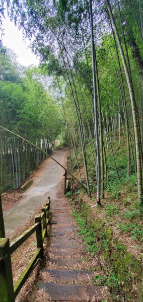 2022-09-24嘉南雲峰、石壁山步道1856390