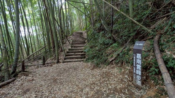 嘉南雲峰、石壁山步道3049096