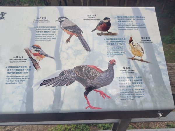 佳保台山3079397