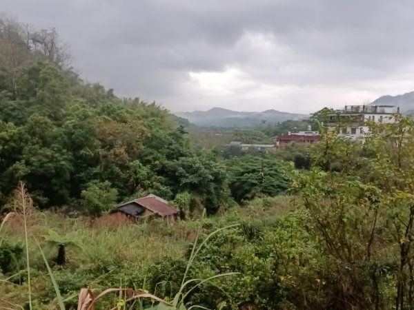 雙溪區后番子坑古道+后番子坑山+平湖東步道+大坑山+下內平林山+上內平林步道出平水2972929