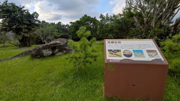 114.06.21山豬湖自然生態之行2819041