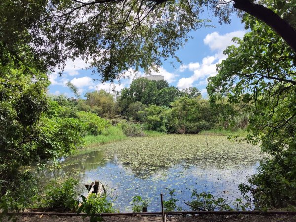高雄澄清湖+台版富國島2855007