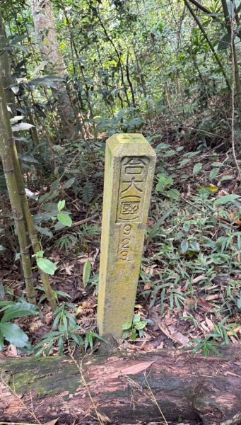 瞭望台-瓊山-望美山-獵人古道2887773