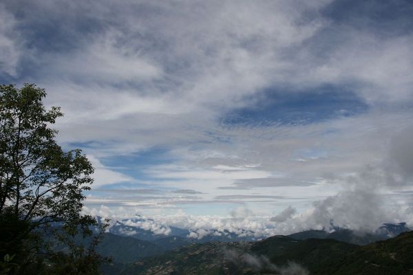 合歡東峰賞花行222735