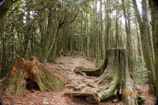 臺中 和平 鞍馬山1697259