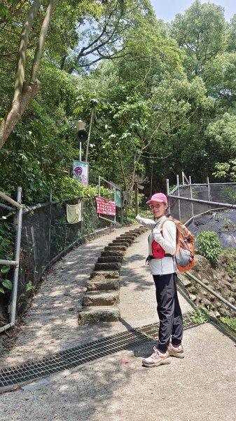 (姨婆趴趴走)第五十四集:攀登台北內湖剪刀石山、金面山2775880