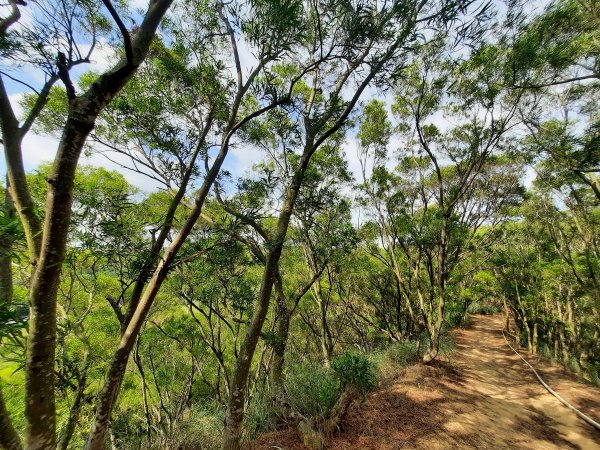 《台中》大肚環保公園登山步道、望高寮賞景1055277