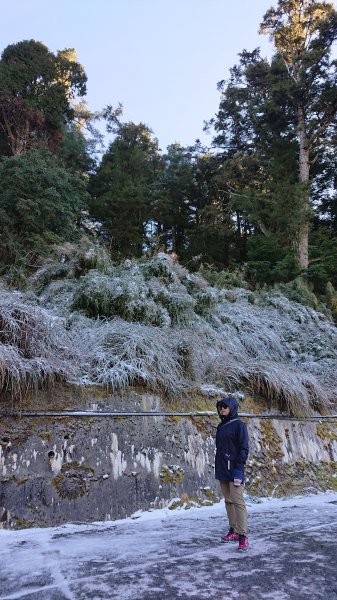 漫遊大雪山遊樂區1312336