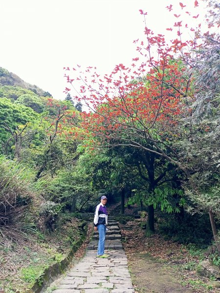 夢幻湖步道【走遍陽明山】2107466