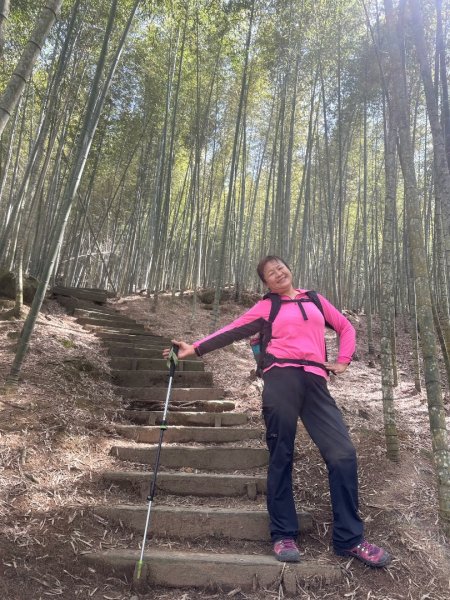 嘉南雲峰、九穹神木3014481