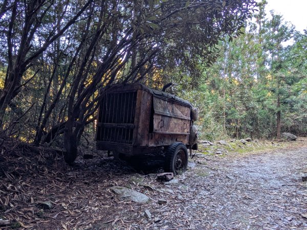 觀霧國家森林遊樂區和包場的榛山三角點2724183