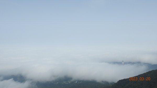 陽明山再見雲海，天空之城 ? 水淹金山寺 ? 3/202080075