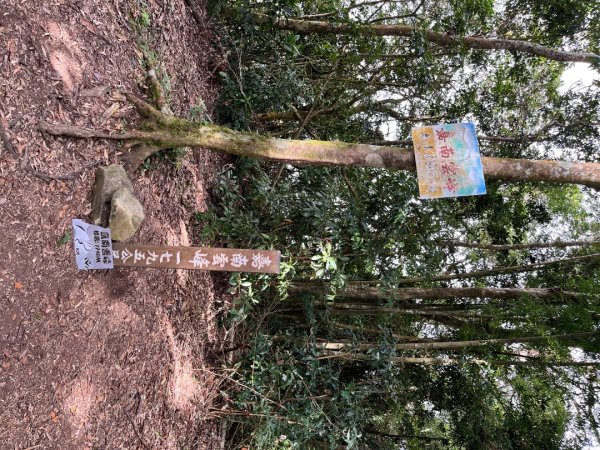 20251108_石壁山（雲林小百岳）2941465