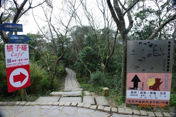 新竹 芎林 飛鳳山、中坑山、大板根、石壁潭山2052621