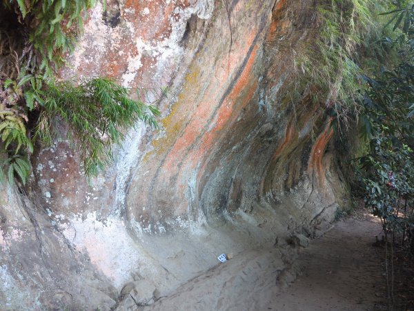 2025.09.21－微笑山線：【鳶山山系】鳶山彩壁段2898711