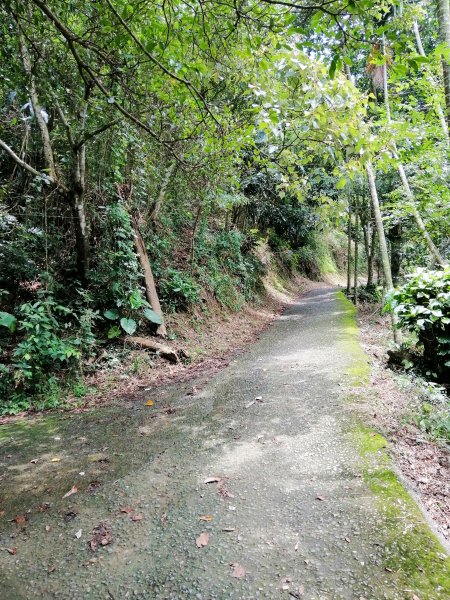 全台獨一無二鐵道相依的登山步道，獨立山738877