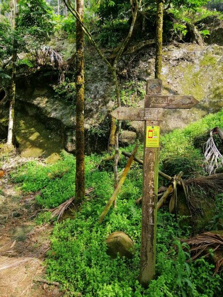 台南白河~台南第一高峰。 關仔嶺大凍山917814