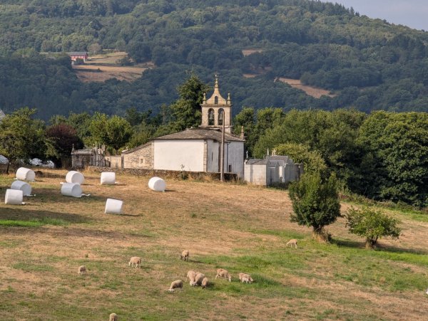 朝聖之路Sarria2983594