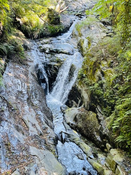 1140825司馬庫斯新巨木園區-司立富瀑布-部落觀景台2871163
