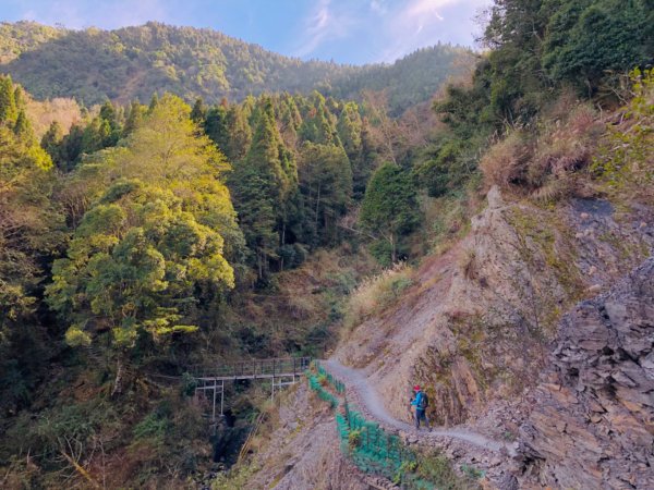 1090122檜山巨木群步道815605