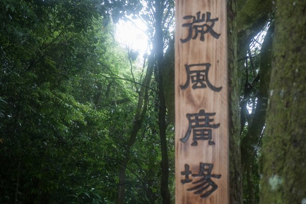 桃園大溪溪洲山步道1699622